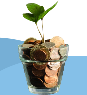 money_plant